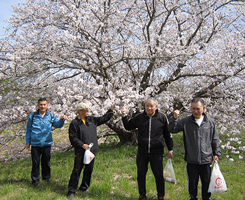 花見会 花見会